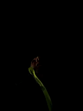 marcoboss online show from December 13, 2025, 10:26 pm