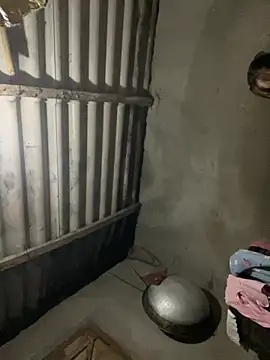 Nika-be online show from March 5, 2026, 12:34 pm