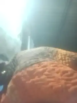 Pinki rajak online show from January 11, 2026, 7:08 pm