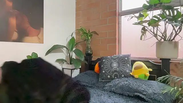 Andy Belier23 online show from February 20, 2026, 11:54 am