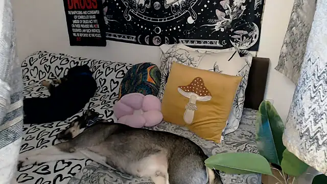 Snapshot of AlienforTwenty chatting on February 26, 2026, 8:57 am AlienforTwenty online show from February 26, 2026, 8:57 am