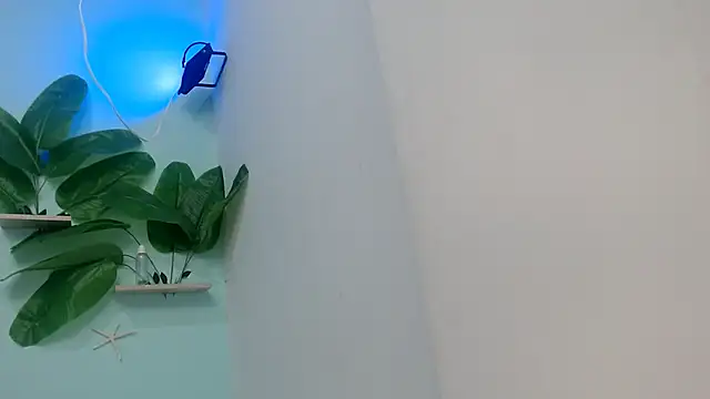 NOVAHOT98 online show from January 12, 2026, 5:51 pm