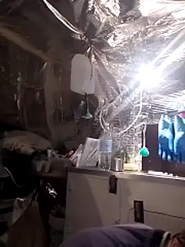 Quebec46 online show from April 14, 2026, 9:37 am