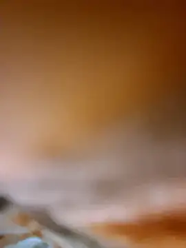 Snapshot of aman4404 chatting on January 8, 2026, 5:21 am aman4404 online show from January 8, 2026, 5:21 am