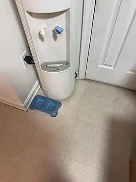 Snapshot of tigre6911 chatting on December 16, 2025, 9:36 am tigre6911 online show from December 16, 2025, 9:36 am