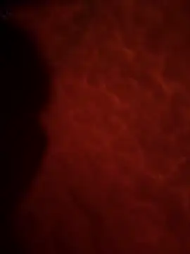 Snapshot of Sweetley chatting on February 2, 2026, 3:22 pm Sweetley online show from February 2, 2026, 3:22 pm