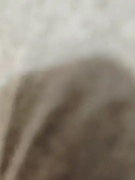 Indian groupxxx online show from December 16, 2025, 4:56 pm