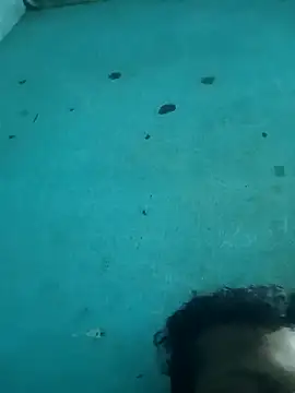 tamilansinsforu online show from April 30, 2026, 2:56 pm