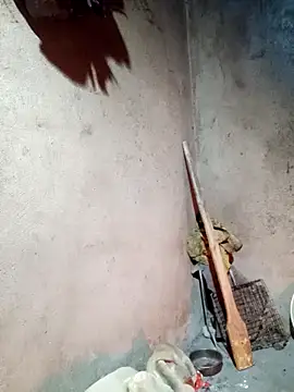 yula-bi online show from February 24, 2026, 12:14 pm