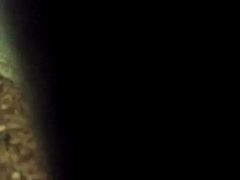 Maknithappen online show from March 17, 2026, 9:34 am