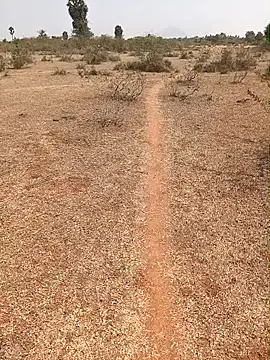 Snapshot of Tamilpaiyan07 chatting on February 9, 2026, 7:01 am Tamilpaiyan07 online show from February 9, 2026, 7:01 am