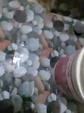 hydhunk26 online show from March 8, 2026, 5:50 pm