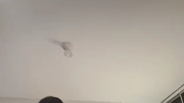 Sofii unicorn online show from March 13, 2026, 1:40 pm