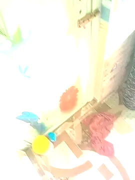 Hooghlypinkivabi online show from January 10, 2026, 7:32 am