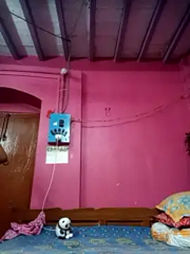 Hooghlypinkivabi online show from March 14, 2026, 2:33 pm