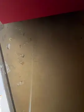 lele202526 online show from April 1, 2026, 7:00 pm