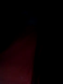 congchua977 online show from February 4, 2026, 11:20 pm