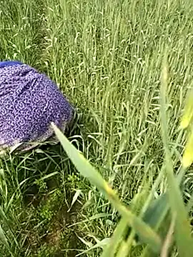 hornycouple20000 online show from February 1, 2026, 6:45 am