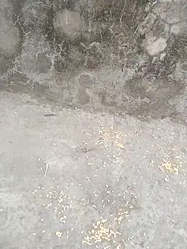 sexyboy 917 online show from March 5, 2026, 12:45 pm