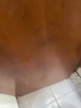 jeanramon01 online show from March 20, 2026, 7:30 pm