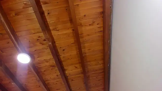 Im FelixHunter online show from April 14, 2026, 11:27 am