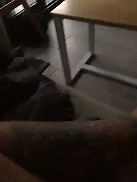 Snapshot of psilocibina22 chatting on February 20, 2026, 9:21 am psilocibina22 online show from February 20, 2026, 9:21 am