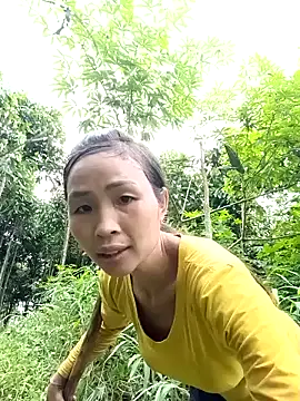 xiaogoal online show from July 14, 2026, 10:21 am