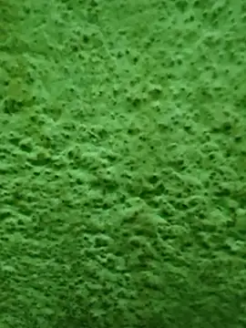 Pagelboy 089 online show from April 8, 2026, 11:59 pm