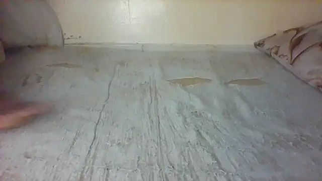 lebogangkat online show from February 11, 2026, 1:38 pm