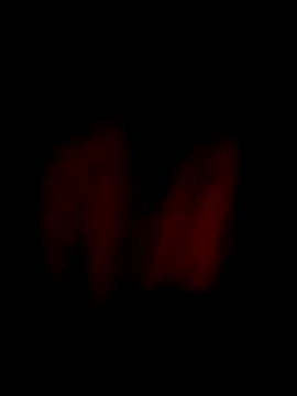 Snapshot of him220 chatting on April 3, 2026, 12:08 am him220 online show from April 3, 2026, 12:08 am