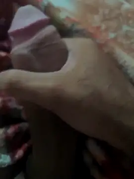 Alagoano12 online show from March 11, 2026, 4:40 am