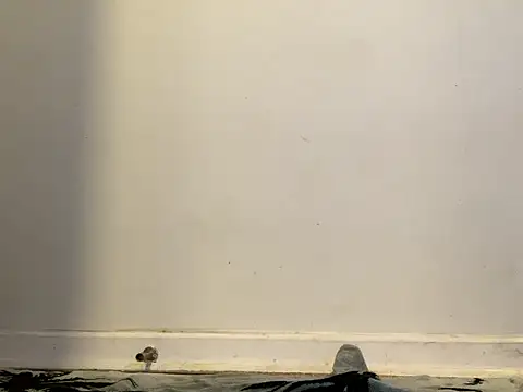 AnnoyedAnnual online show from January 15, 2026, 12:15 am