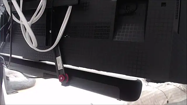 TittenTina online show from January 12, 2026, 11:15 am