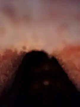 Satyam3handsome online show from January 12, 2026, 1:11 am