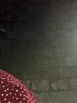 Naalyy online show from January 14, 2026, 1:55 am