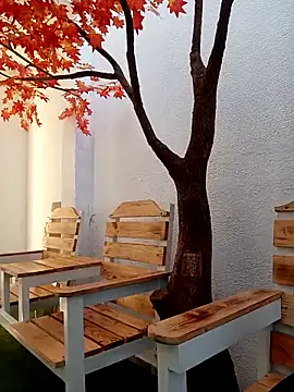 Dante Knox online show from March 2, 2026, 11:28 am