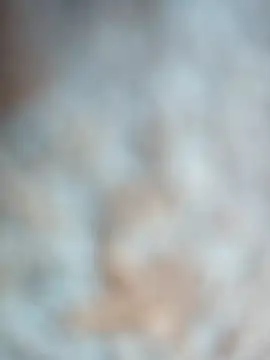 Snapshot of talytah chatting on February 19, 2026, 9:27 am talytah online show from February 19, 2026, 9:27 am