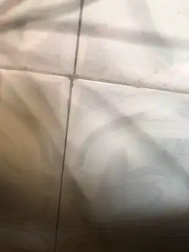 Puth Gdvbb online show from January 10, 2026, 9:22 am