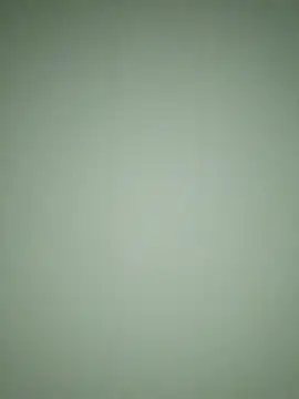 Zaara101 online show from February 11, 2026, 11:26 am