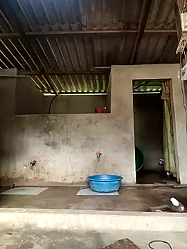 -Likin- online show from March 31, 2026, 9:32 am