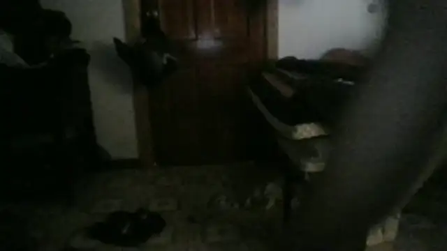 XxDa-Booty-BandiTxX online show from January 17, 2026, 12:59 am