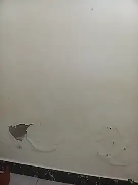 Snapshot of PatriciaVen chatting on February 7, 2026, 5:44 am PatriciaVen online show from February 7, 2026, 5:44 am