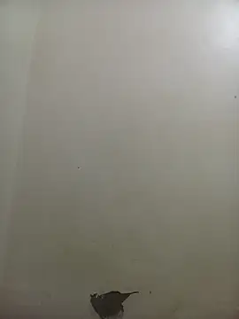 Snapshot of PatriciaVen chatting on February 10, 2026, 4:05 am PatriciaVen online show from February 10, 2026, 4:05 am