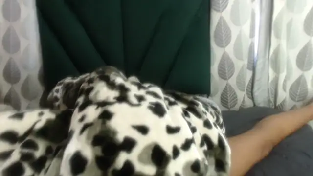 Snapshot of Nellybba chatting on March 27, 2026, 5:46 am Nellybba online show from March 27, 2026, 5:46 am