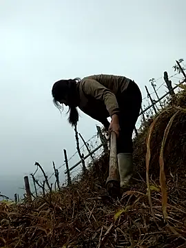 miumiu sexy2x online show from April 1, 2026, 2:01 am