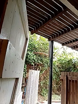 dicklife3485 online show from February 24, 2026, 8:23 am