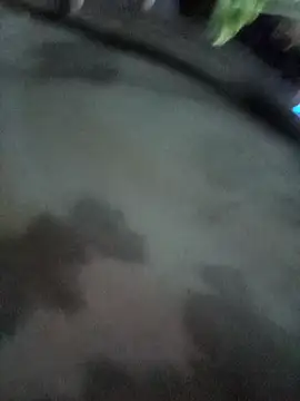 ahsssex2026 online show from February 1, 2026, 8:46 am