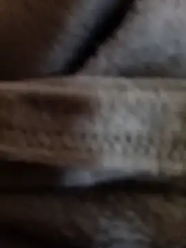 Daisy91 online show from January 14, 2026, 3:06 pm