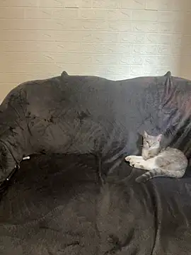 AlisRoxy online show from February 14, 2026, 2:14 pm