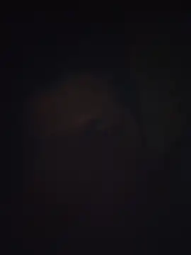 Snapshot of Pravin9562 chatting on March 4, 2026, 7:09 pm Pravin9562 online show from March 4, 2026, 7:09 pm